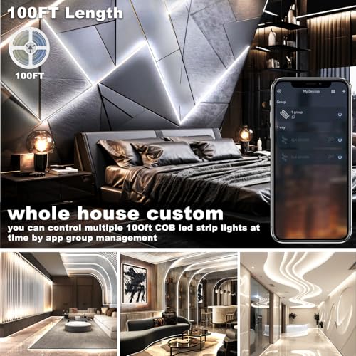 NUERPO 100FT COB Led Strip Lights, Uniform 6500K COB Rope Light,Bright Daylight White Lights,High Density,App/Remote Control,Indoor 24V Cuttable Cabinet Lights for Bedroom,Bookshelf,Showcase,Kitchen