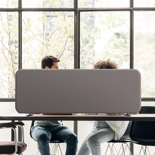 DECOLAB Desk Dividers, Standing Table Partition Panel 48"x18", Sterling | Free Standing Desk Screen. For Home, Office, Student, Test, Study, Classroom. No Drill. - color: Sterling