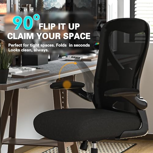 Office Desk Chair with Ergonomic Lumbar Support, Extra-Thick Seat Cushion, Flip-up Arms, Breathable Mesh Back, Computer Task Chair for Home Office (All-Black Carbon Fiber Model) | Adjustable Lumbar (up/down/in/out), Rocking Mesh Back, Flip-up Arms, Easy A