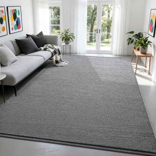 Nuttumico Large Modern Area Rugs for Bedroom Living Room, 4x6 Feet Grey Rug, Thickened Memory-Foam Indoor Carpets, Minimalist Rug for Boys Girls, Soft, Non-Slip and Machine-Washable - color: Grey, size: 4' X 6' (Rectangular)