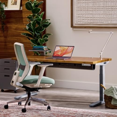 UPLIFTDESK E7 LED Desk Lamp with Clamp - 3 Color Mode Architect Desk Lamp | Dimmable Desk Lights for Home Office, Computer Desk Light with Adjustable Swing Arm, Modern Desk Lamp for Standing Desk - color: Silver Clamp Only