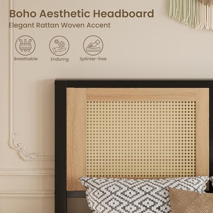 LIKIMIO Twin Rattan Bed Frame with Headboard, Boho Metal Platform Bed | Rattan headboard, 650 lb support, metal slats, EVA pads, 9.8-inch underbed clearance, no box spring needed. - size: Twin