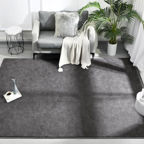FlyDOIT Area Rugs for Bedroom Living Room, 4x6 Dark Grey Super Soft Comfy Thickened Memory-Foam Indoor Carpets, Modern Aesthetic Minimalist Carpet for Boys Girls Adults Apartment Nursery Home Décor - color: Dark Grey, size: 4' x 6' (Rectangular)