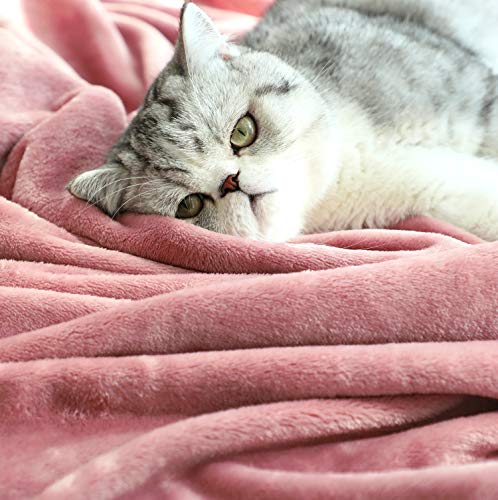TASTHROW Large Flannel Fleece Throw Blanket, 50×70 Inch - Pink | Cozy Lightweight Thick Blanket - All Seasons Suitable for Women, Men and Kids (Two Pack) - color: Pink, size: Two Pack 50"x70"