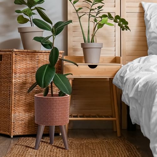 D'vine Dev Planter Pot with Wood Stand, 8 in, Terra Cotta, 88-Z-A-3 | Mid-Century Modern Style, Elevated Plant Display, Drainage Hole and Plug, Functional & Stylish, Modern Indoor Planter - color: Terra Cotta, size: Small