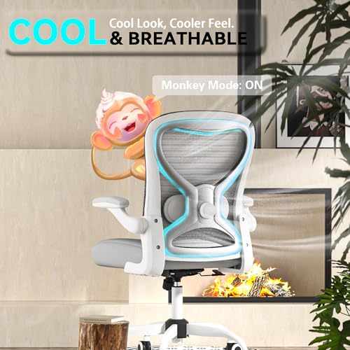 Ergonomic Home Office Chair, 4-Way Lumbar, Thick Cushion, 330LBS | Adjustable Lumbar (up/down/in/out), Rocking Mesh Back, Flip-up Arms, Easy Assembly, Ideal for home offices & small workspaces - color: White-grey and Silver