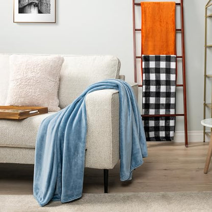 PAVILIA Fleece Blanket Throw Twin Size | Super Soft, Plush, Luxury Flannel Throw | Lightweight Microfiber Blanket for Sofa Couch Bed (Dusty Blue, 60x80 inches) - color: Dusty Blue, size: 60 x 80 Inches - Twin
