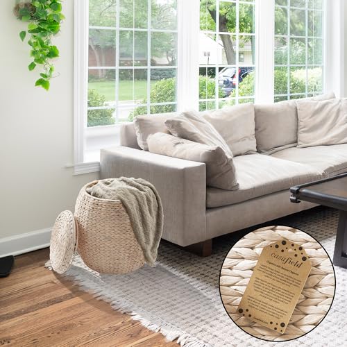 Casafield Round Storage Basket with Lid - Whitewash, Handwoven Water Hyacinth Organizer for Laundry, Blankets, Plants, Bedroom, Living Room, Office - color: Whitewash