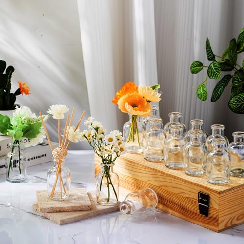 Lallisa 54 Pcs 3.15 Inches Small Glass Bud Vases Bulk Mini Flower Vases for Centerpieces Decorative Glass Bottles Vintage Rustic Decoration for Wedding Dining Table Home Decor - color: Transparent, size: 3.15 Inches