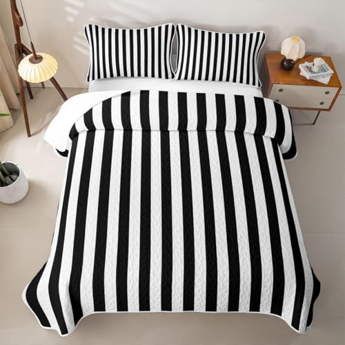 Black White Stripes Quilted Coverlet Set Twin Size,Striped Quilted Sets for Kids Girls Modern Geometric Lines Microfiber Lightweight,Retro Abstract Aesthetic 2Pcs with 1 Pillow Sham - color: Black White Stripes, size: Twin