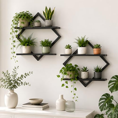 2 Pack Wall Planters for Indoor Plants, Black | 2-Tier Floating Wall Shelves, Wall Mounted Plant Holder Stand, For Bathroom Living Room Bedroom Kitchen Office - color: Black-2pack