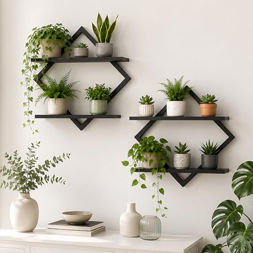 2 Pack Wall Planters for Indoor Plants, Black | 2-Tier Floating Wall Shelves, Wall Mounted Plant Holder Stand, For Bathroom Living Room Bedroom Kitchen Office - color: Black-2pack