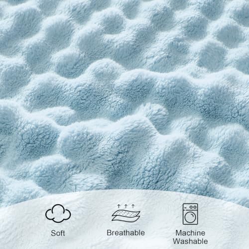 Lotus Karen 3D Bubble Fleece Blanket - Ultra Soft Fluffy Light Blue Twin Blanket for Couch, Lightweight Cozy Throw for All Season, Adults Women Kids(Light Blue, 60"x80")