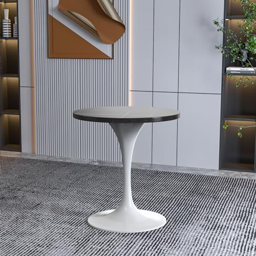 LeisureMod Verve Modern Dining Table 27" Round Sintered Stone Tabletop and White Stainless Steel Pedestal Base for Kitchen and Dining Room, Black - color: Black Stone, size: 27 inch Wide