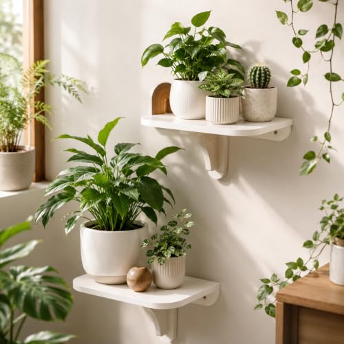 WELLAND 11.8" x 8.25" White Wall Mounted Desk Small Floating Shelves Set of 2 Folding Wall Shelves Drop-Leaf Table Fold Down Desk for RV, Camper, Loft Beds - color: White