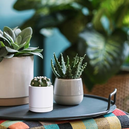 D'vine Dev 2-Pack Ceramic Pots with Saucers, White, 3.5 in, 94-V-A-1 | Modern Cylinder Design, Glazed Ceramic, Drainage Hole & Saucer Included, High Temperature Fired, Elegant Home Accent - color: White, size: 3.5 Inch