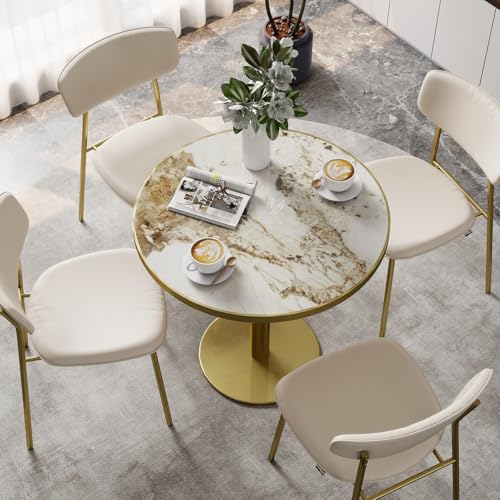 31.5" Circle Tulip Table with Sintered Stone Tabletop, Gold Edge & Pedestal | Modern Round Dining Table, Leisure Bistro Table for Kitchen, Small Places, Living Room, Cafe, Restaurant (Platinum Cloud) - color: Platinum Cloud (Golden Edge), size: Round