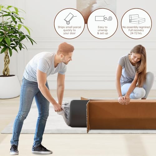 Nigoone Queen Size Folding Sofa Couch Memory Foam with 2 Pillows Sleeper Chair Lazy Couch Triple Futon Convertible Guest Beds, Washable Cover, Dark Gray - color: Darkgray, size: Queen