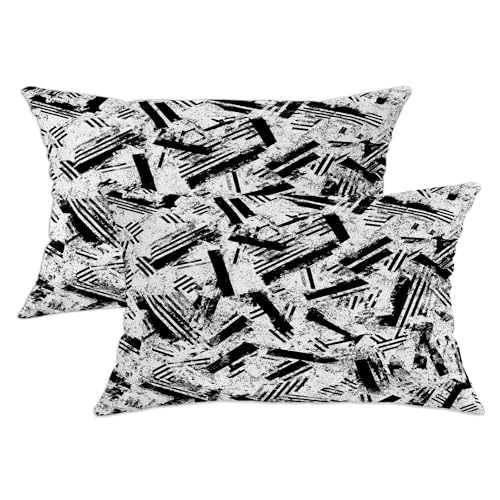 Stripes Throw Pillow Covers Set of 2, Modern Abstract Brush Patterns Texture None Black Soft Velvet Washable Cover Decorative Pillows for Living Room Bed Office Sofa Chair Decor 20x12 Inch - size: 20" x 12" (Pack of 2)