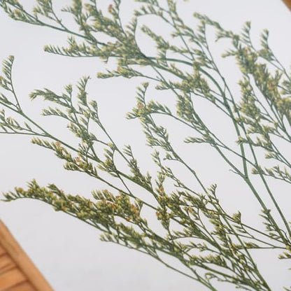 NIKKY HOME Rattan Framed Botanical Wall Art Set of 2 Natural Dried Flowers Grass Plant Artwork with Clear Glass Display Frame and Jute Rope Gallery Wall Decor Living Room Decor
