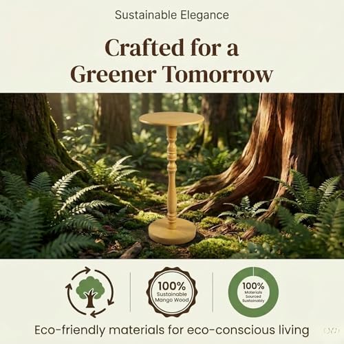 Relso Stambha Solid Wood Drink Table - 24" Tall Round Accent Side Table, Handcrafted Natural Finish, Mango Wood, Perfect for Living Room, Bedroom or Indoor Plant Stand, 12" Compact Top - color: Stambha Natural