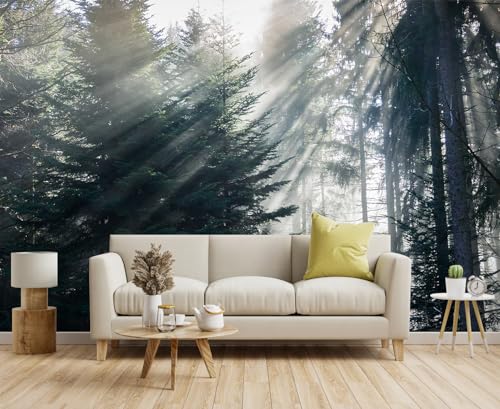 Toolhom Forest in the Fog wall Mural, Forest wall Sticker Wallpaper, Non-self-Adhesive wall Decorations（Non-self-Adhesive） - color: MURAL-203, size: 170" x 108"