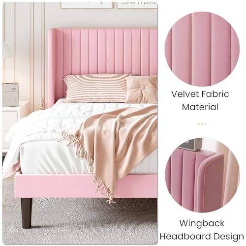 SHA CERLIN Queen Size Velvet Bed Frame, Tufted Wingback Headboard, Pink | 47'' Modern Vertical Channel Headboard, Upholstered Platform Bed, Wood Slats, No Box Spring Needed, Easy Assembly, Noise Free - color: Pink, size: Queen