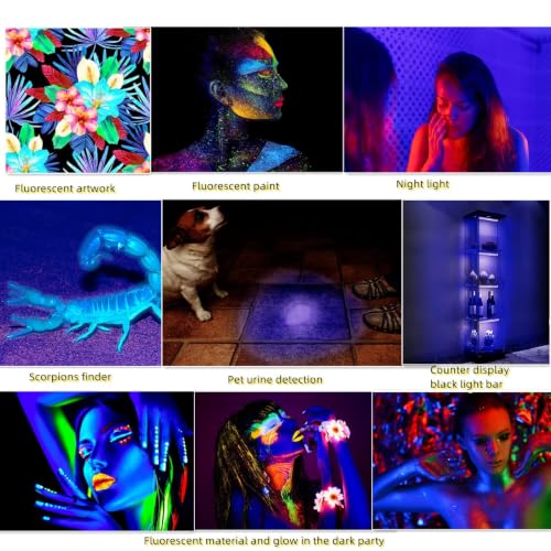 UV Black Light Bar 1ft LED Blacklight Strip Lights for Fluorescent Tapestry | Magnetic, 10W, USB-C Cord, Small, for Body Paint Glow Party Poster Cabinet Display, Bedroom Decor, THLIFURE, 2PACK