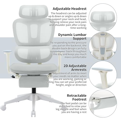 Ergonomic Office Chair with Footrest, 90-135° Reclining High Back Desk Chair with Lumbar Support, 2D Headrest, 2D Armrests, Computer Chair for Long Hours, Light Grey - color: Light Grey