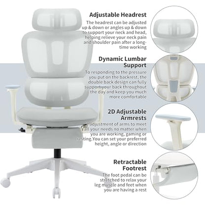 Ergonomic Office Chair with Footrest, 90-135° Reclining High Back Desk Chair with Lumbar Support, 2D Headrest, 2D Armrests, Computer Chair for Long Hours, Light Grey - color: Light Grey
