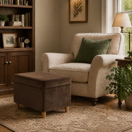 Spatial Order 24" Dinah Collection Storage Ottoman - Chocolate Brown Velvet - color: Chocolate Brown Velvet