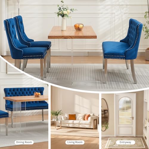 Blue Velvet Dining Bench with Back, Tufted Banquette Seating, Silver Legs | Upholstered loveseat bench; tufted back; nailhead trim; 500 lb capacity; foam and spring seat; dining room or entryway - color: Blue(silver Stainless Steel Legs)