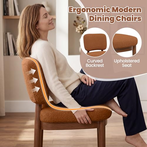 Wooden Dining Chairs Set of 2, Boucle Upholstered Kitchen Chairs with Solid Wood Legs, Mid Century Modern Dining Chairs, Farmhouse Side Chair with Hardwood Frame for Dining Room, Brown - color: Brown, size: Set of 2