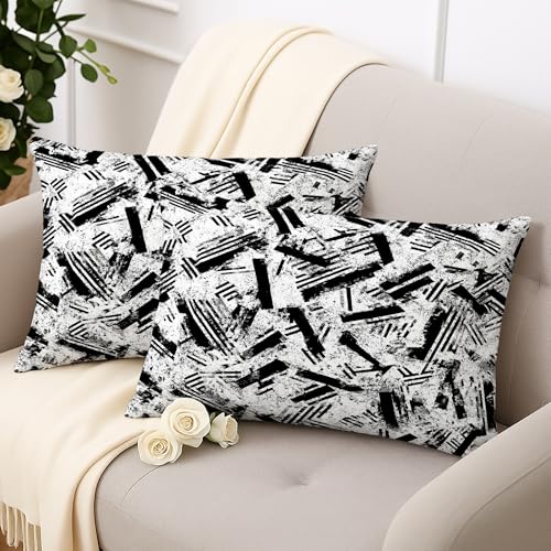 Stripes Throw Pillow Covers Set of 2, Modern Abstract Brush Patterns Texture None Black Soft Velvet Washable Cover Decorative Pillows for Living Room Bed Office Sofa Chair Decor 20x12 Inch - size: 20" x 12" (Pack of 2)