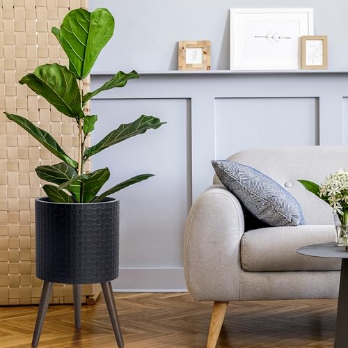 D'vine Dev Planter Pot with Wood Stand, 12 in, Matte Black, 88-Z-C-2 | Mid-Century Modern Style, Elevated Plant Display, Drainage Hole and Plug, Functional & Stylish, Modern Indoor Planter - color: Matte Black, size: Large