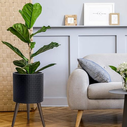 D'vine Dev Planter Pot with Wood Stand, 12 in, Matte Black, 88-Z-C-2 | Mid-Century Modern Style, Elevated Plant Display, Drainage Hole and Plug, Functional & Stylish, Modern Indoor Planter - color: Matte Black, size: Large