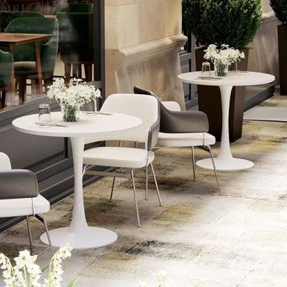 27.5" White Round Small Dining Table with MDF Top & Metal Pedestal Base | Fully Eco-Friendly Painted, Smooth Waterproof Surface, Modern Accent Table for Cafe & Home