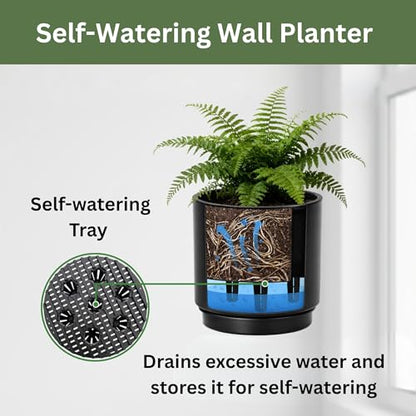 Self-Watering Wall Planters for Indoor Outdoor Plants (5.9 inch) | Metal Wall Vase, Wall Hanging Planter, Wall Plant Holder, Plant Hanger, Hanging Planter, Wall Plant - color: Black