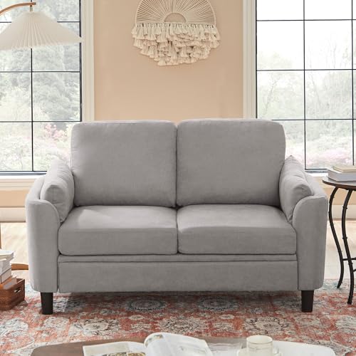 59" Loveseat Sofa, Mid Century Modern Love Seat with Back Cushions, 2-Seat Small Sofa Couch for Living Room Bedroom Small Spaces, Light Grey - color: Light Grey, size: Loveseat Sofa