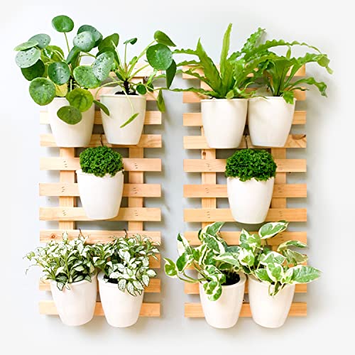 LaLaGreen Self-Watering Wall Planters (4in, 10 Pack) White Indoor Plants | Wall Mount Planter Plant Holder, Modern Hydroponic Wall Pots Vertical Living Plant Garden Decor - size: 4" (10 cm)