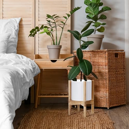 D'vine Dev Plastic Pot with Natural Wood Stand, White, 8 in, 55-C-J-1 | Mid-Century Inspired Design, Elevated Plant Display, Clean Lines, Sturdy Support, Modern Space-Saving Style - color: Matte White Pot + Natural Stand, size: 8 Inch