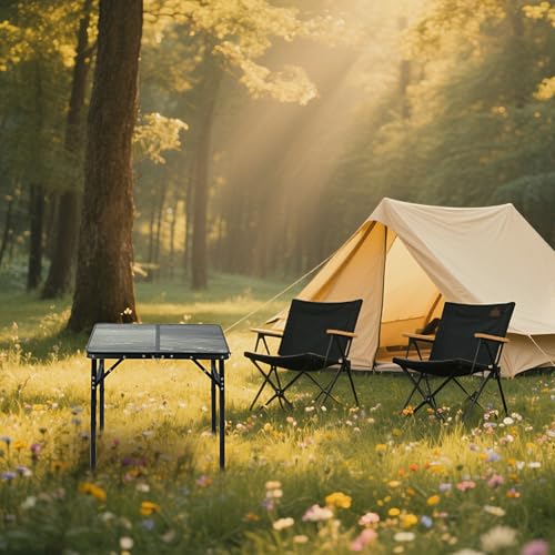 Small Folding Camping Table, 2ft Portable Picnic Table Aluminum 24" x 16", 3 Adjustable Heights Portable Lightweight Table Dining for RV, Picnic, Beach (Black Lava) - color: Black Lava