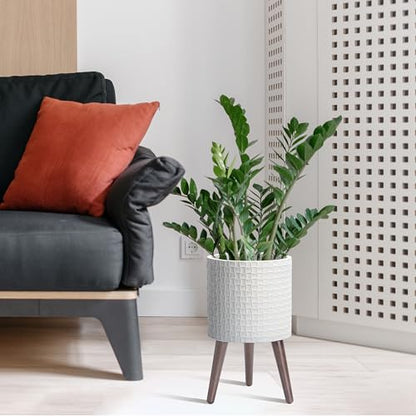D'vine Dev Planter Pot with Wood Stand, 10 in, Matte White, 88-Z-B-1 | Mid-Century Modern Style, Elevated Plant Display, Drainage Hole and Plug, Functional & Stylish, Modern Indoor Planter - color: Matte White, size: Medium