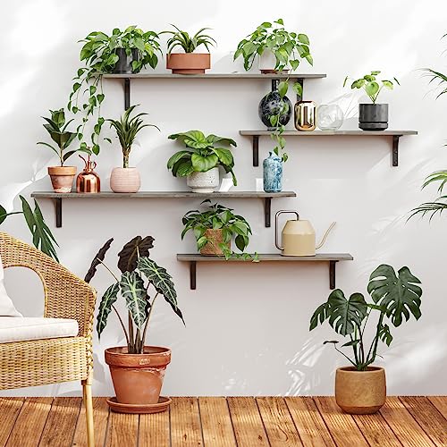 Long Wall Shelves, 23.6Inch Wooden Wall Mounted Shelves, Set of 2 | Floating Book Shelf, Metal Brackets, Easy Assembly, Max Load 22lbs, Wall Storage Ledges, Bedroom/Bathroom/Kitchen, Gray Wash - color: Gray Wash, size: 23.6 Inch