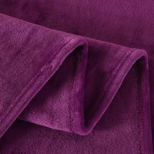 TASTHROW Purple Throw Blanket 50x60 Inches | Soft PlushCozy Fleece Flannel Throw Blanket, Lightweight Warm Throws for Bed, Couch, Bedroom and Living Room, All Seasons - color: Purple, size: 50"x60"