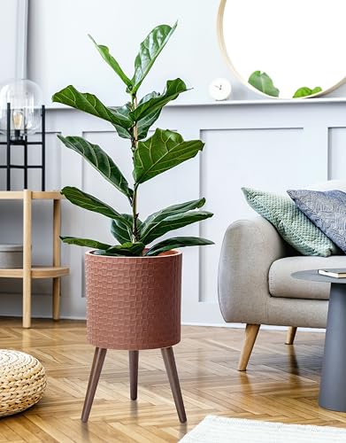 D'vine Dev Planter Pot with Wood Stand, 12 in, Terra Cotta, 88-Z-C-3 | Mid-Century Modern Style, Elevated Plant Display, Drainage Hole and Plug, Functional & Stylish, Modern Indoor Planter - color: Terra Cotta, size: Large