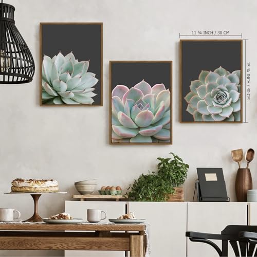 Zessonic Succulent Wall Art,Nature Plant Echeveria Wall Decor,12"x16"x3 | Nature Plant Echeveria Cactus Wall Decor,Tropical Nature Wilderness Botanical Canvas Prints for Bathroom Living Room Bedroom - color: Succulent, size: 12" x 16"x3