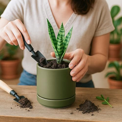 D'vine Dev 2-Pack Ceramic Pots with Saucers, Olive, 4.7 in, 94-V-B-J | Modern Cylinder Design, Glazed Ceramic, Drainage Hole & Saucer Included, High Temperature Fired, Elegant Home Accent - color: Olive, size: 4.7 Inch