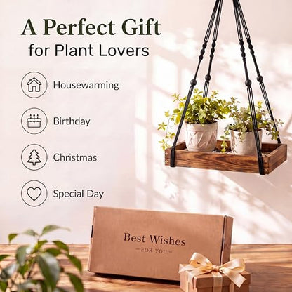 Novabright Hanging Window Plant Shelf, 16 Inch Wooden Macrame Style Shelf with Metal Grid Frame, Adjustable Cotton Rope Indoor Holder for Window, Wall or Ceiling, 50 lb Capacity