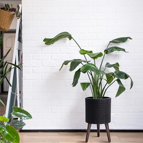 D'vine Dev Planter Pot with Wood Stand, 10 in, Distressed Black, 88-Z-B-5 | Mid-Century Modern Style, Elevated Plant Display, Drainage Hole and Plug, Functional & Stylish, Modern Indoor Planter - color: Distressed Black, size: Medium